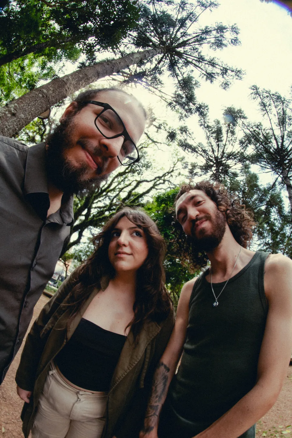 Lima O Trio sob as árvores, fotografado de um ângulo baixo.